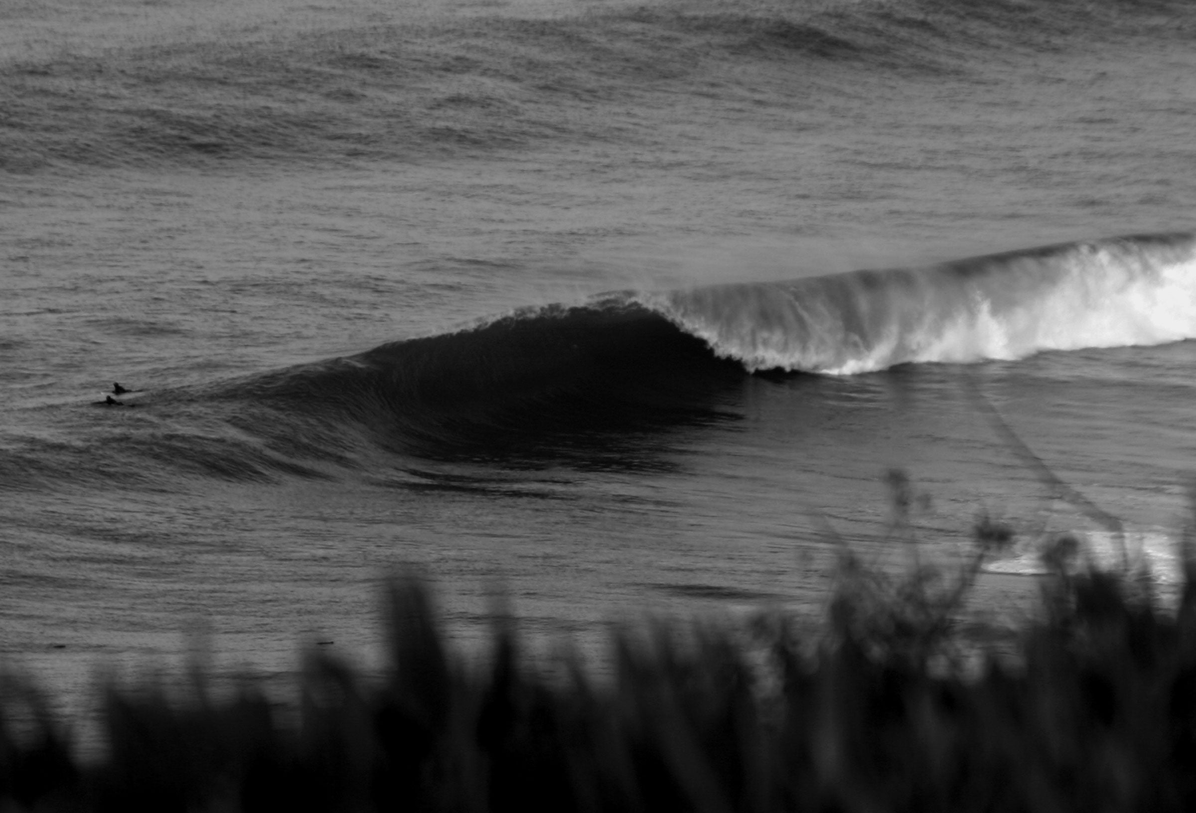 New Arrivals – Page 2 – Your Board Santa Cruz