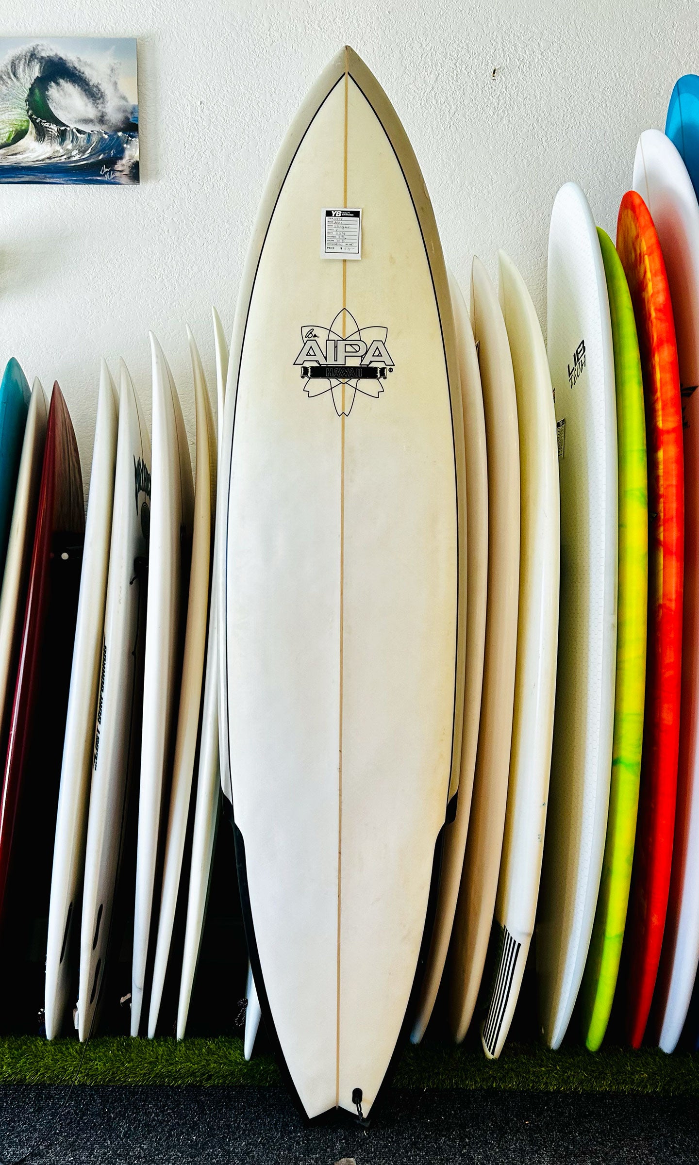 Mid Lengths – Your Board Santa Cruz