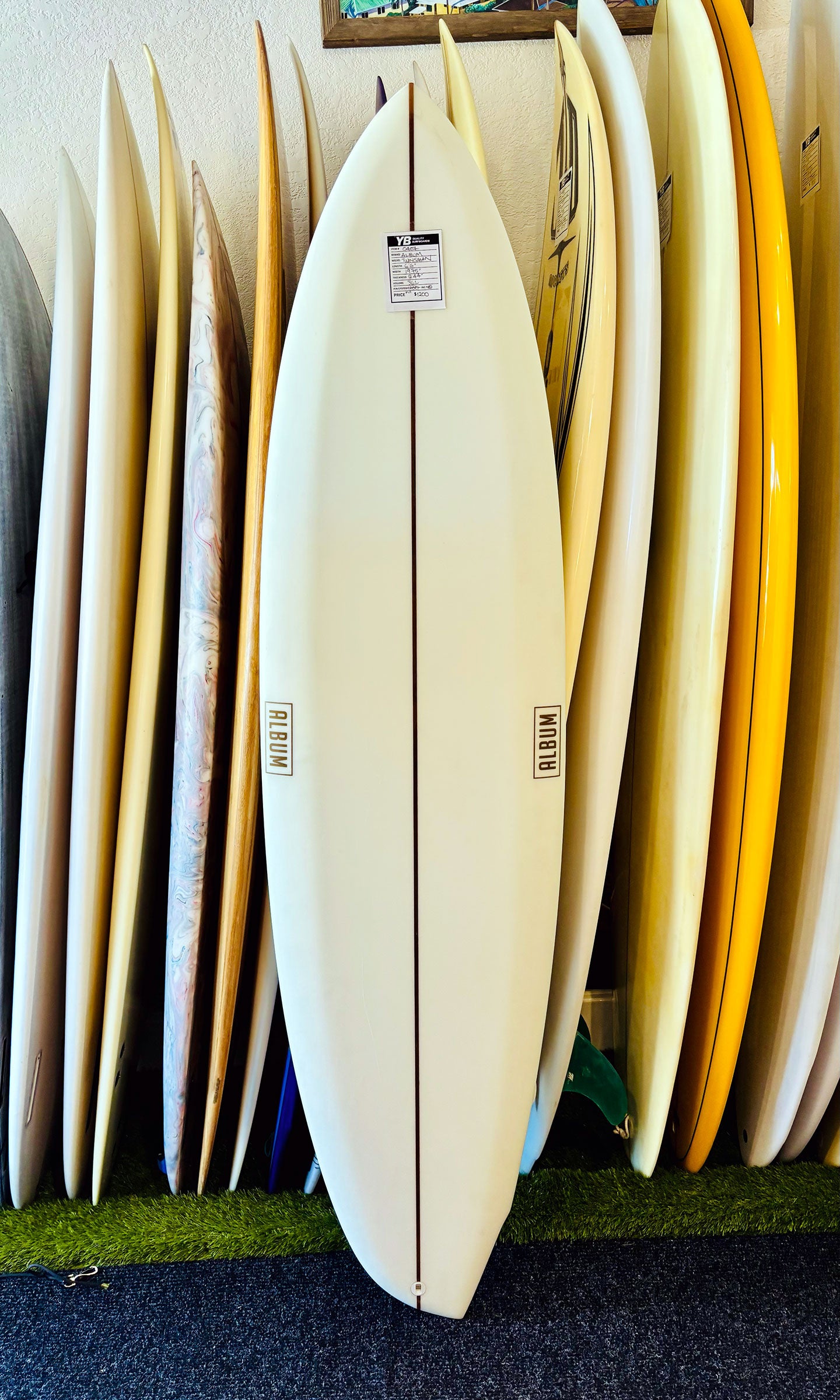 Album 6'6" 36L Twinsman Asym