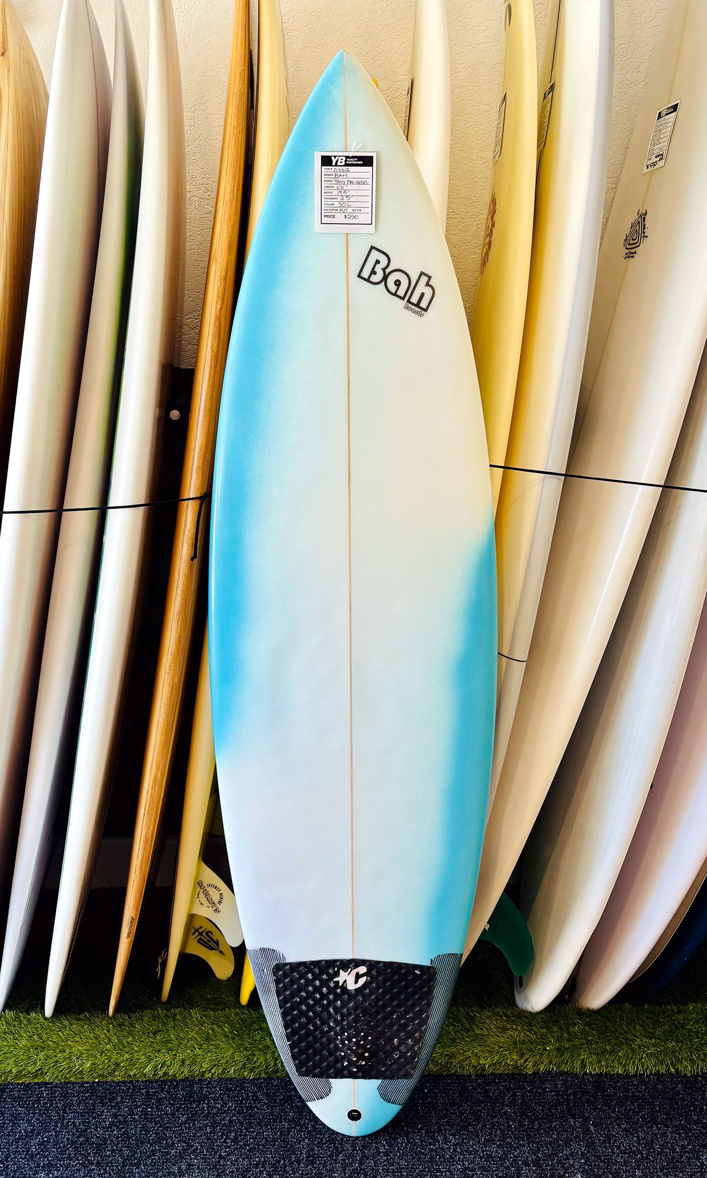 Your Board Santa Cruz