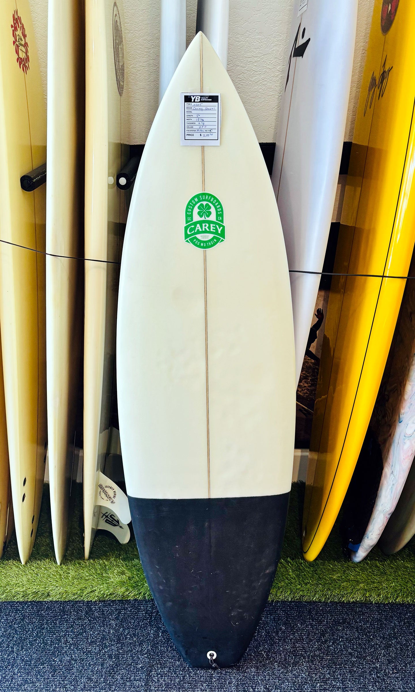 Santa Cruz 5'8