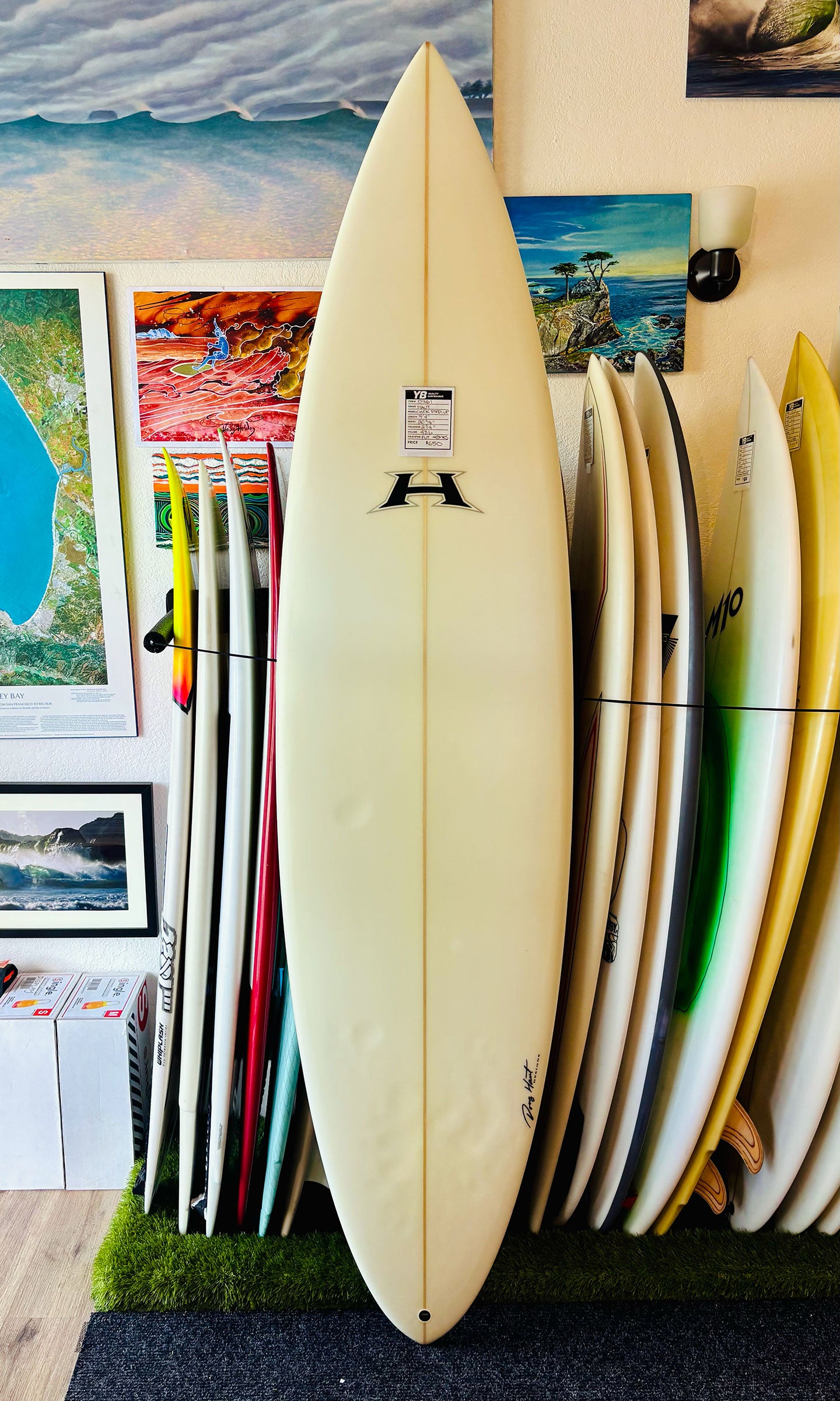 Step Ups – Your Board Santa Cruz