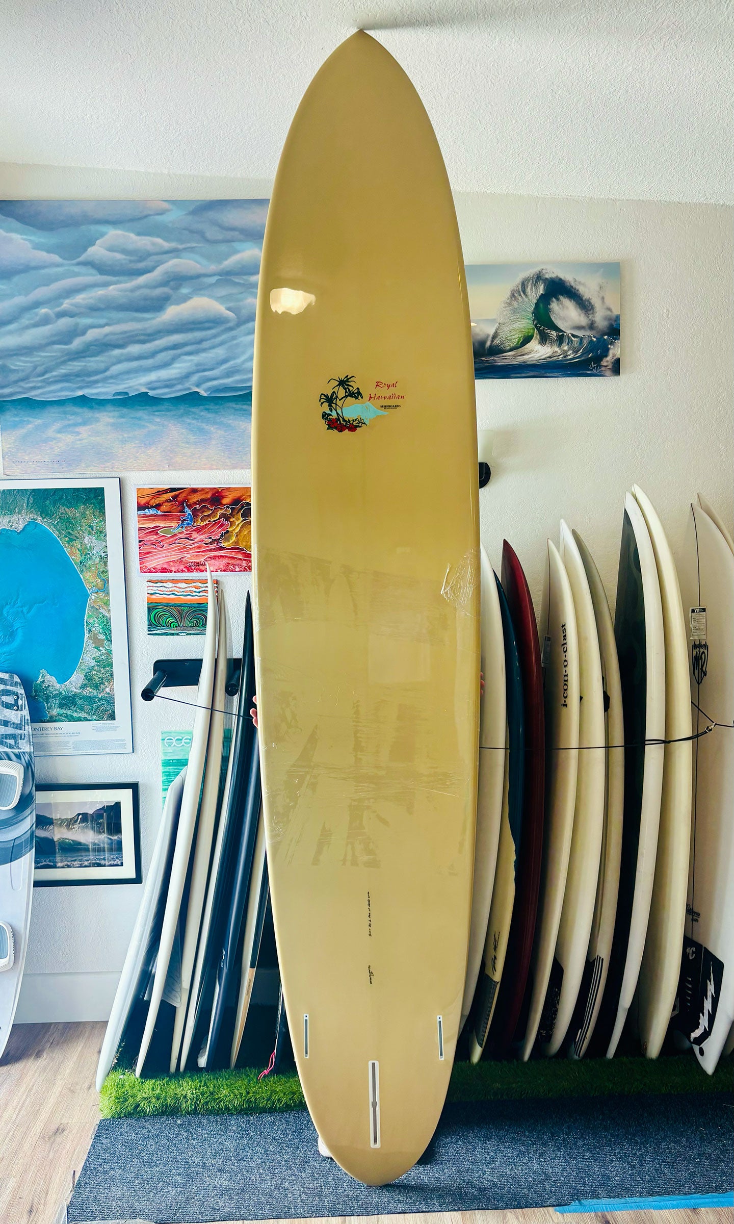 Roger Hinds 10'0" Glider New Longboard