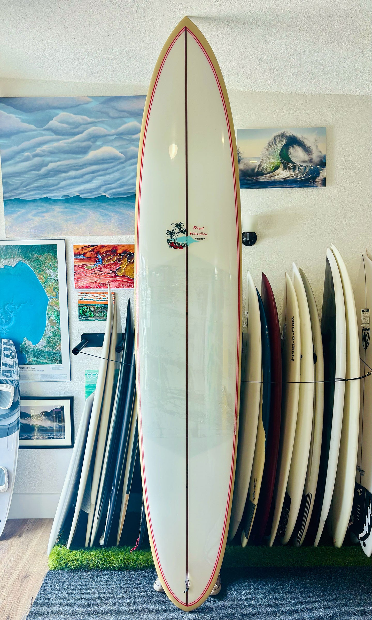 Roger Hinds 10'0" Glider New Longboard