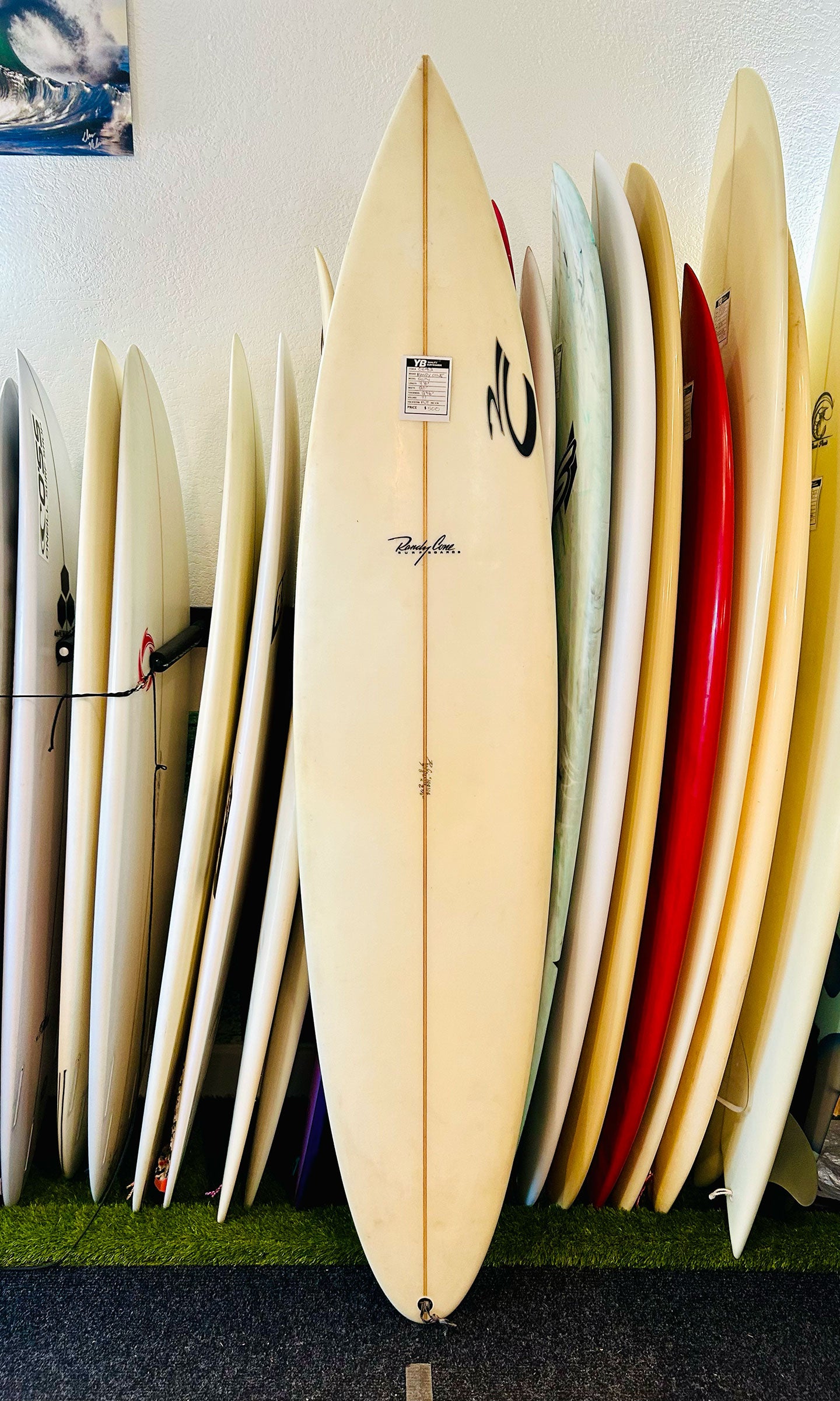 Step Ups – Your Board Santa Cruz